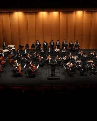My Hero Academia In Concert
