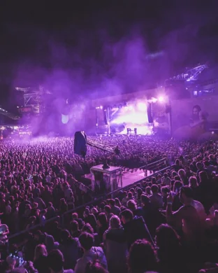 Live concert by Cringefest