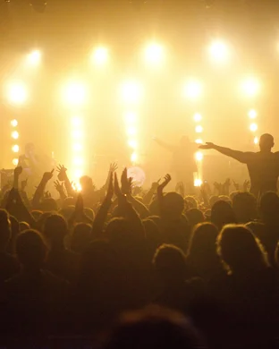 Live concert by Fourth Wave Fest