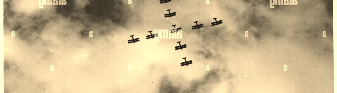 Airplane! - Show