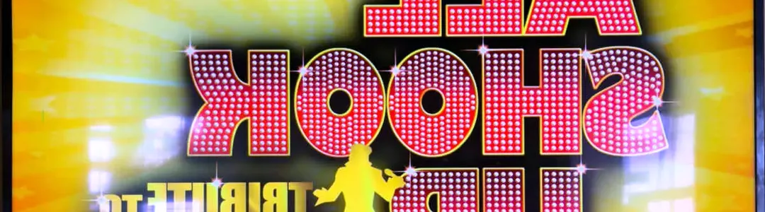 All Shook Up - Elvis Tribute Show