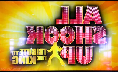 All Shook Up - Elvis Tribute Show