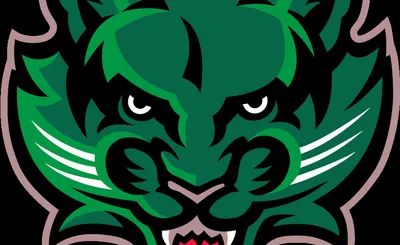 Binghamton Bearcats