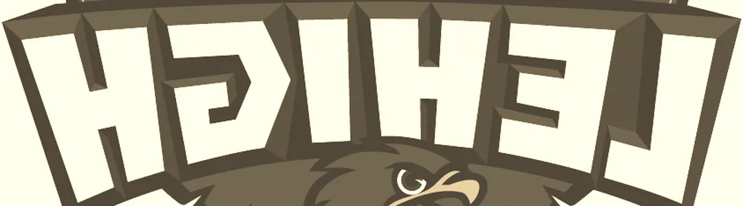 Lehigh Mountain Hawks
