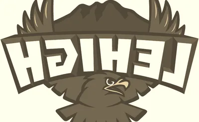 Lehigh Mountain Hawks