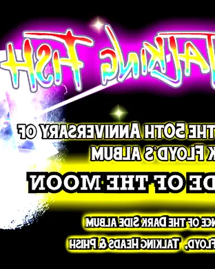 Pink Talking Fish - A Tribute to Pink Floyd, The Talking Heads & Phish