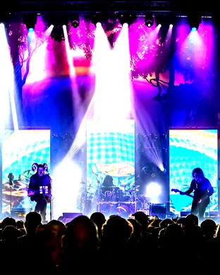 Claypool Gold: Primus, Les Claypool's Frog Brigade & The Claypool Lennon Delirium