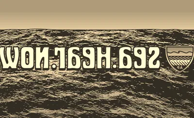 Sea Hear Now Festival