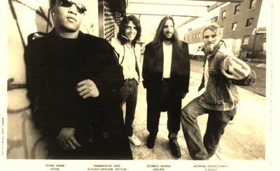 Spin Doctors