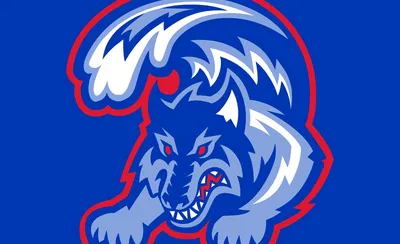 Stony Brook Seawolves