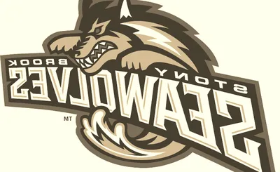 Stony Brook Seawolves