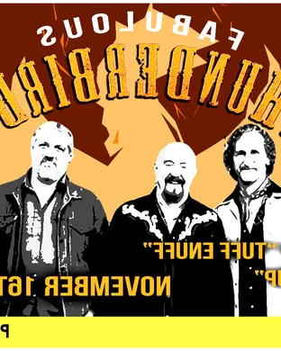 The Fabulous Thunderbirds