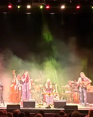 The Joni Project