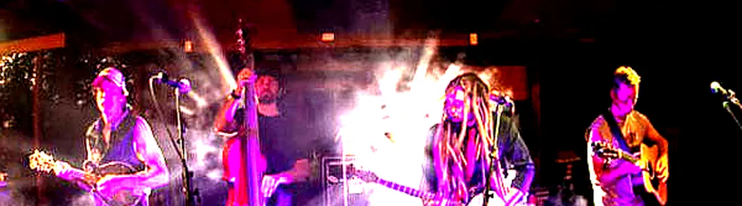 The Kitchen Dwellers