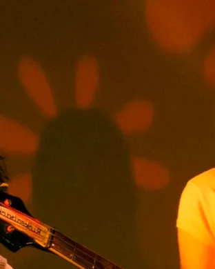 The Lemon Twigs