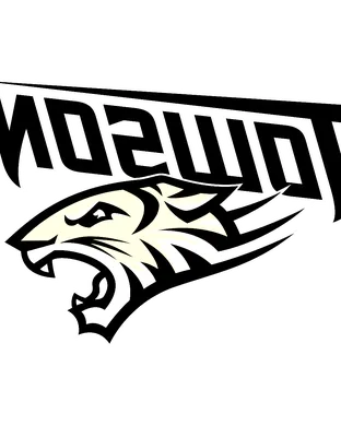 Towson Tigers